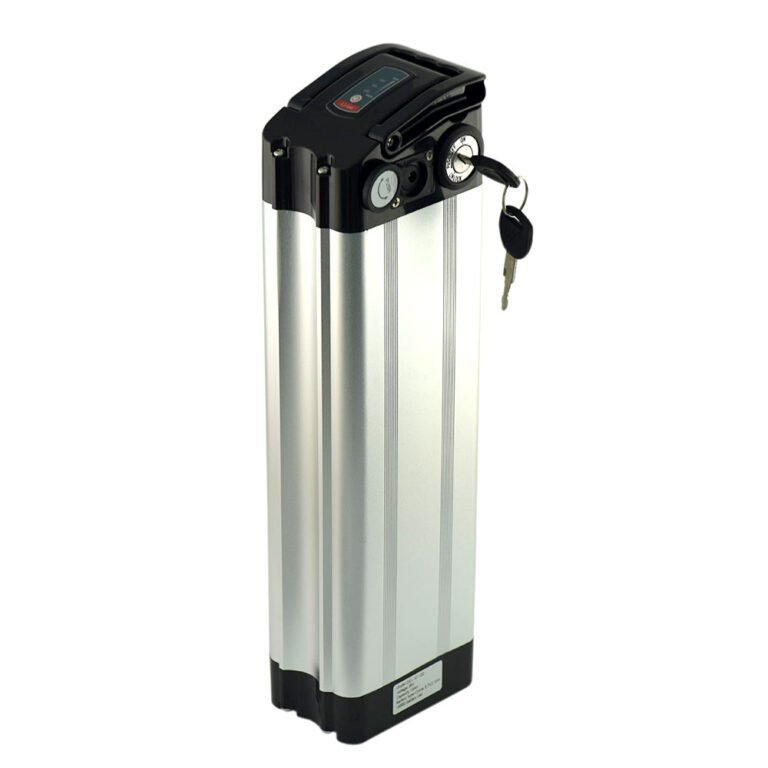 Silver fish battery